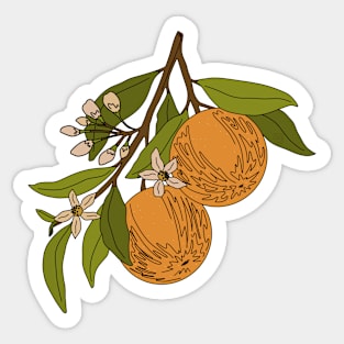 Of Course Its Oranges Sticker
